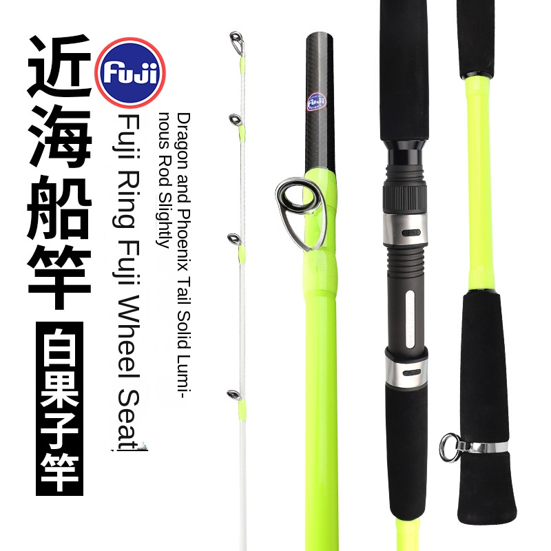 Fuji Guide Ring Carbon 2-Piece Offshore Fishing Rod for Octopus Squid & Ginkgo-Yellow Gun Perch Model – Fishing Rod – view 2