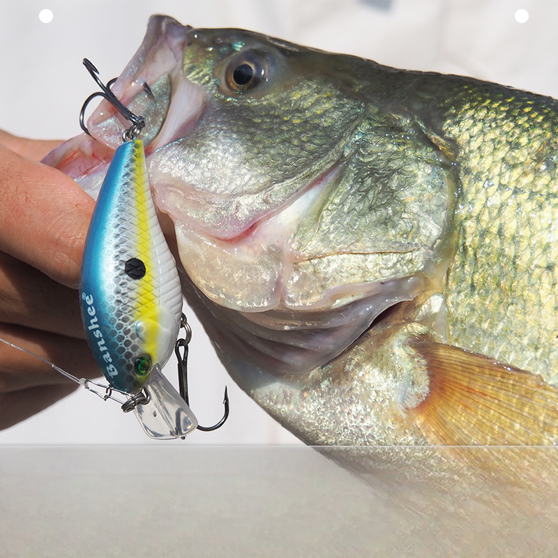 Outdoor Sports Fishing Tackle, Floating Crankbait Lure, Cross-border Minnow Hard Bait, 60mm/12g – Crankbait – view 3