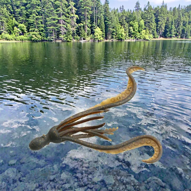 Original source photograph · specifications to confirm