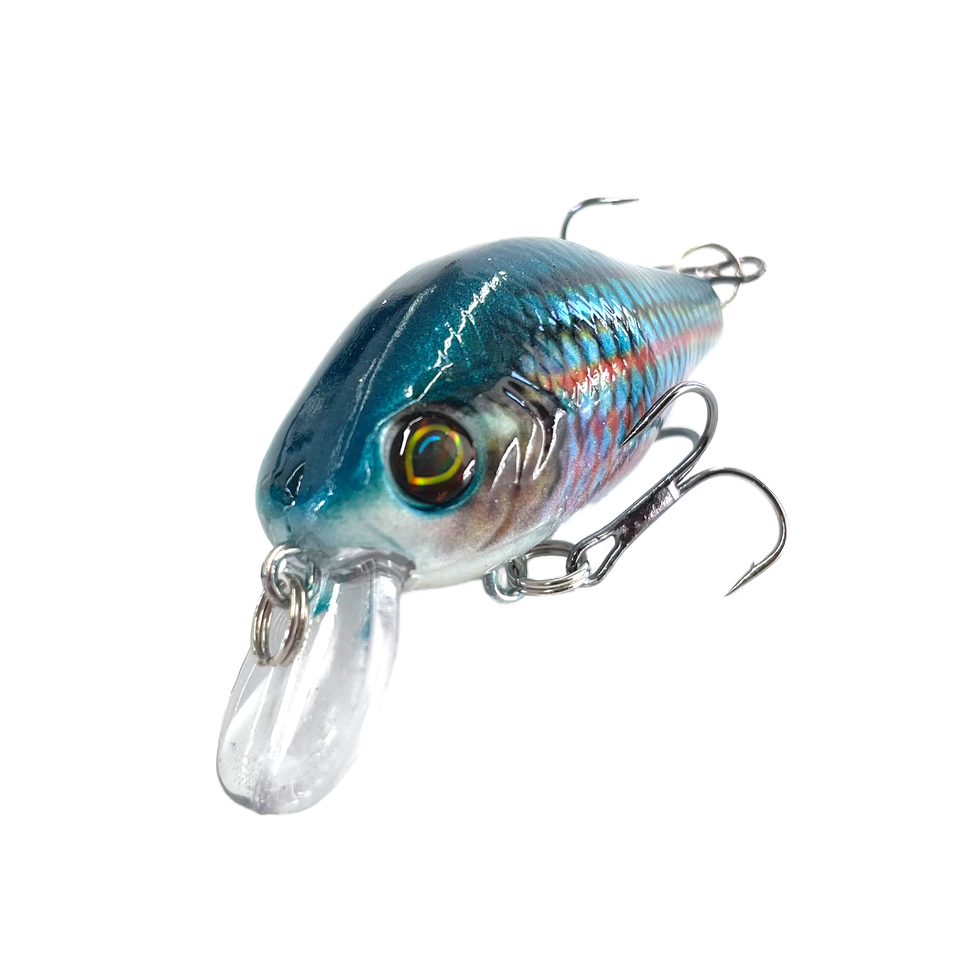 Selco 5.5cm 8g Hard Soft Plastic Fishing Lure Bulk Plastic Baits for Carp Fishing · Original source photograph · specifications to confirm
