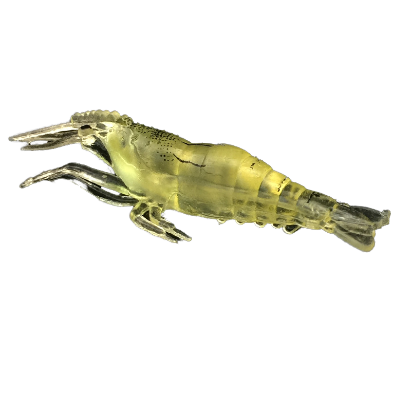 Bionic Small Grass Shrimp Soft Lure, Luminous Imitation Shrimp Bait, Universal Soft Bait for Topmouth Culter, Bass · Original source photograph · specifications to confirm