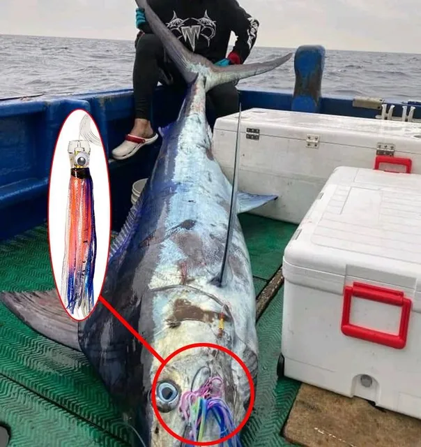 Original source photograph · specifications to confirm