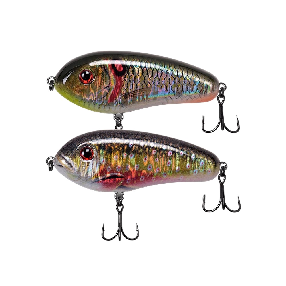 Live Bait 60mm 11g Freshwater Trembling Sinking JERK BAIT Snakehead Mandarin Fish Plastic Fishing Lure With Hooks · Original source photograph · specifications to confirm