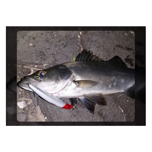 Original source photograph · specifications to confirm