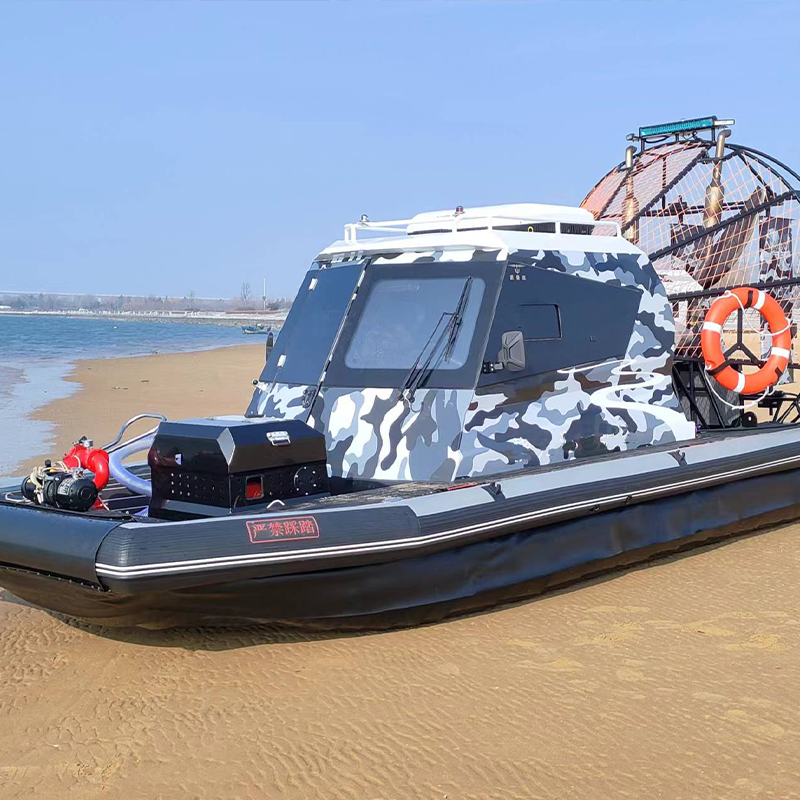 CHEERY 15.5m Multi-purpose Amphibious Boat Eco-Friendly Life Raft for Waterplay Crafts & Accessories · Original source photograph · specifications to confirm